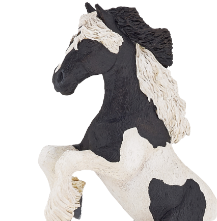 Chevaux, poulains et poneys