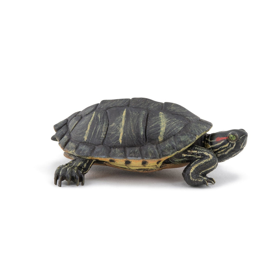 Figurine Tortue de Floride Papo en PVC, thème reptiles, Collection Animaux sauvages, jouet éducatif idéal pour enfants et collectionneurs