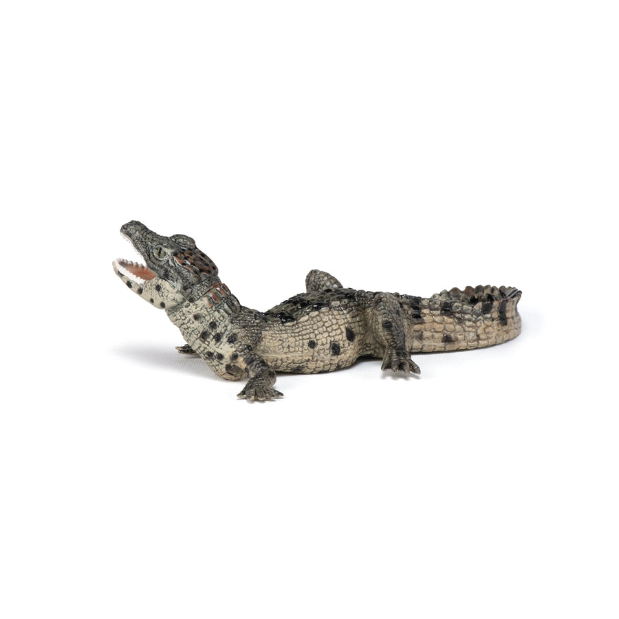 Figurine Bébé crocodile Papo en PVC, Collection Animaux sauvages, jouet éducatif idéal pour enfants et collectionneurs
