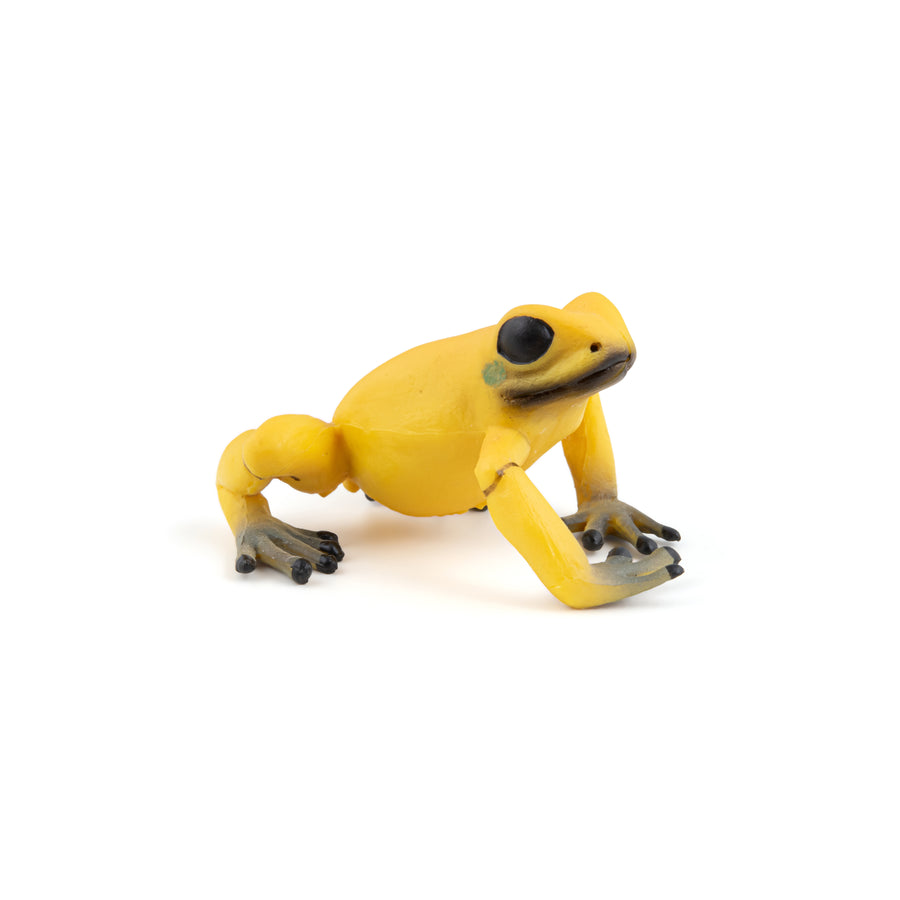 Grenouille équatoriale jaune Papo en PVC, Collection Animaux sauvages, jouet éducatif idéal pour enfants et collectionneurs