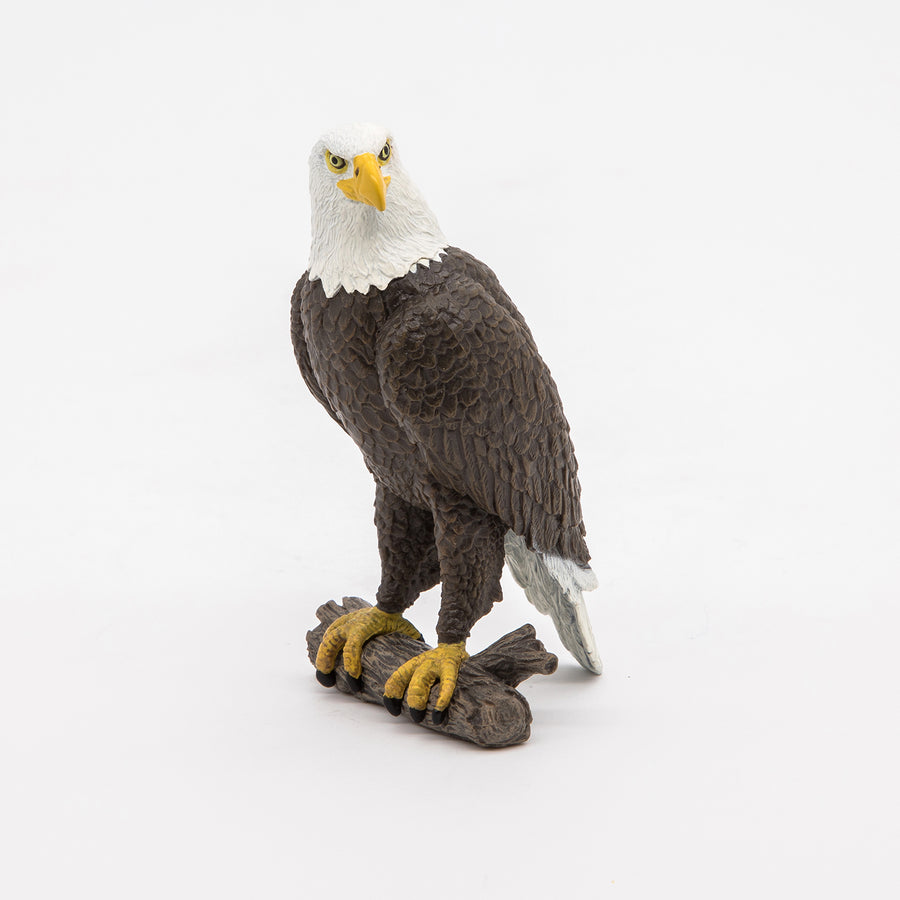 Figurine Pygargue à tête blanche Papo en PVC, thème oiseaux, Collection Animaux sauvages, jouet éducatif idéal pour enfants et collectionneurs