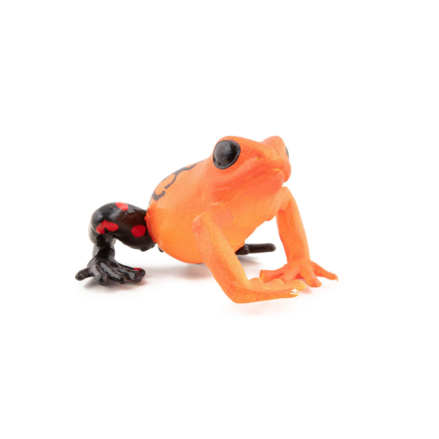 Grenouille équatoriale rouge Papo en PVC, Collection Animaux sauvages, jouet éducatif idéal pour enfants et collectionneurs