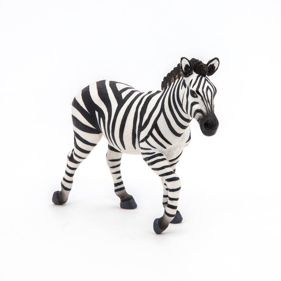 Figurine Zèbre mâle Papo en PVC, thème savane, Collection Animaux sauvages, jouet éducatif idéal pour enfants et collectionneurs