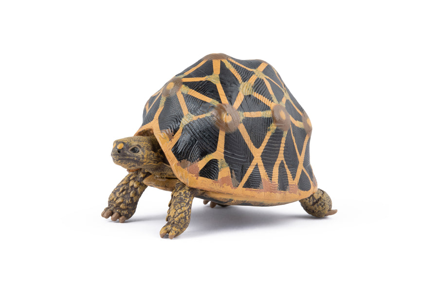 Star tortoise Figurine