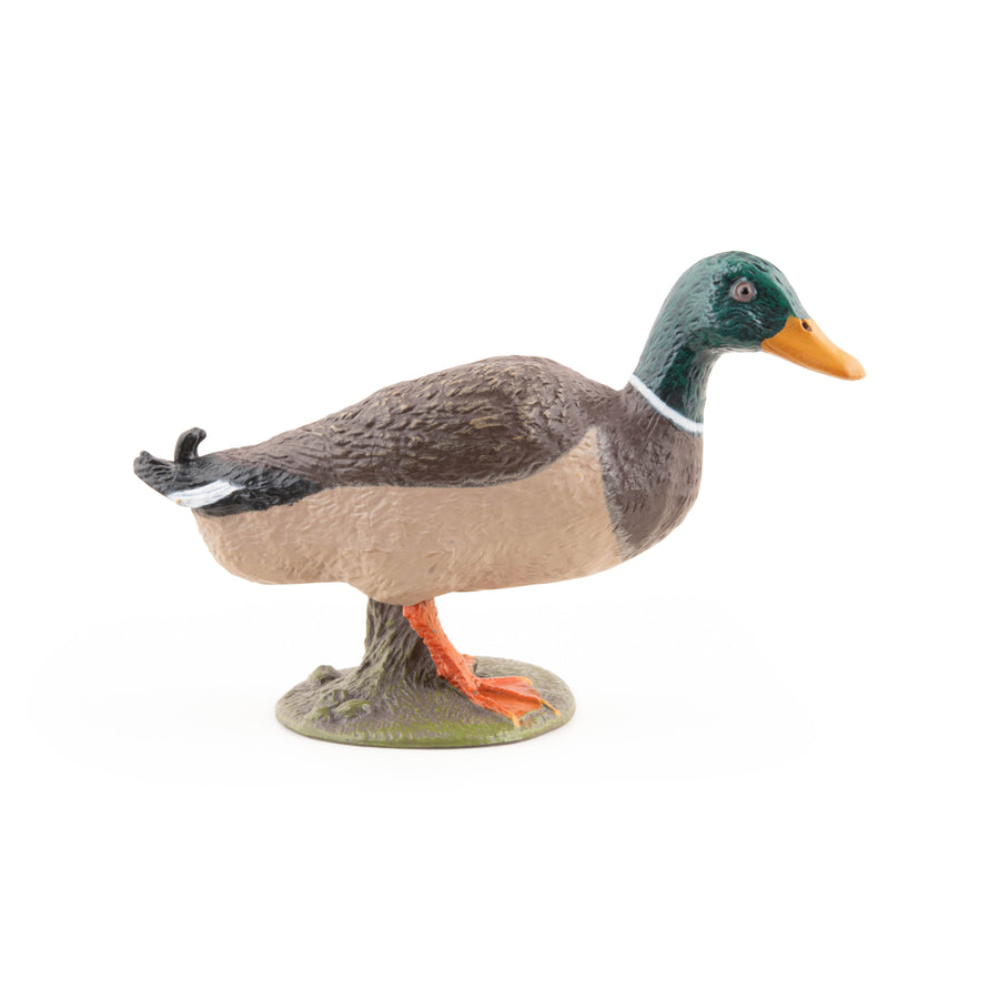 Figurine Canard colvert Papo en PVC, thème basse-cour, Collection Vie à la ferme, jouet éducatif idéal pour enfants et collectionneurs
