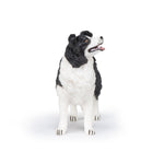 Figurine Border collie Papo en PVC, Collection chiens et chats, jouet éducatif idéal pour enfants et collectionneurs
