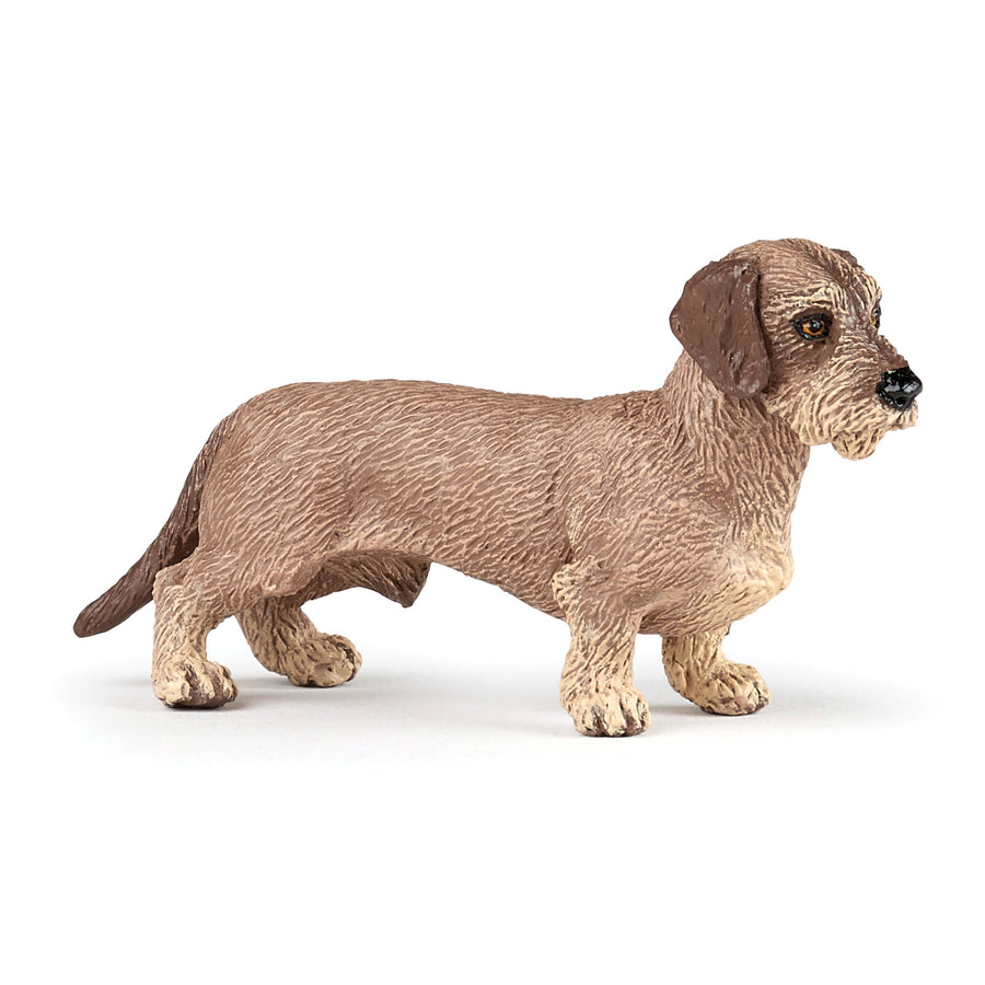 Figurine Teckel Papo en PVC, Collection chiens et chats, jouet éducatif idéal pour enfants et collectionneurs