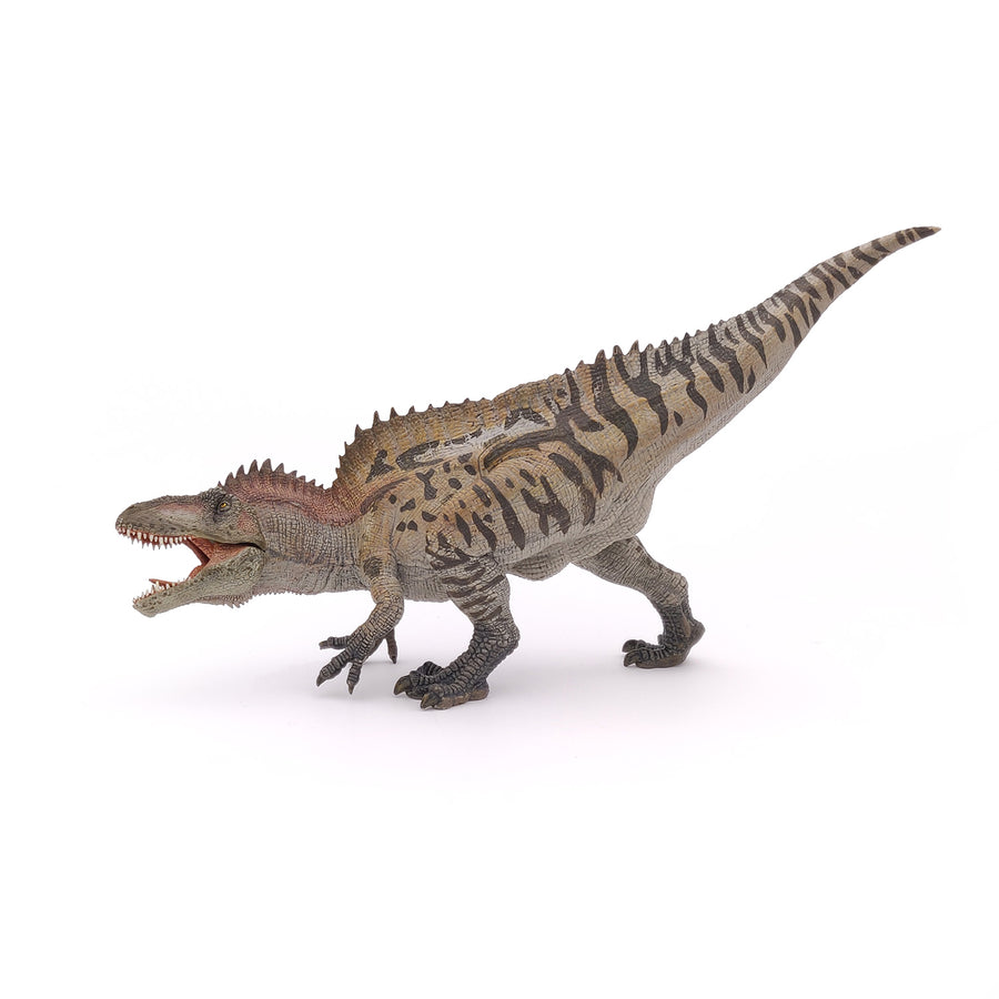 Acrocanthosaurus Papo en PVC, Collection Dinosaures, jouet éducatif idéal pour enfants et collectionneurs