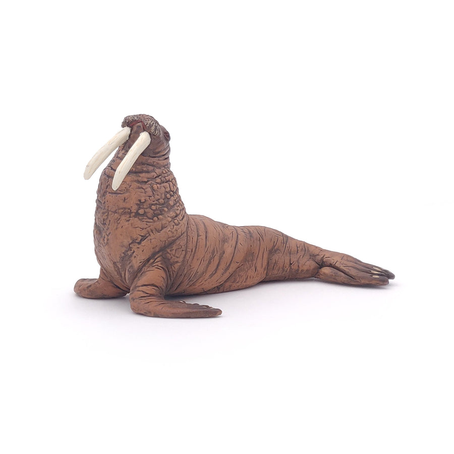 Figurine Morse Papo en PVC, Collection animaux marins, jouet éducatif idéal pour enfants et collectionneurs