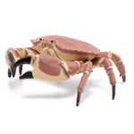 Crabe Papo en PVC, Collection animaux marins, jouet éducatif idéal pour enfants et collectionneurs